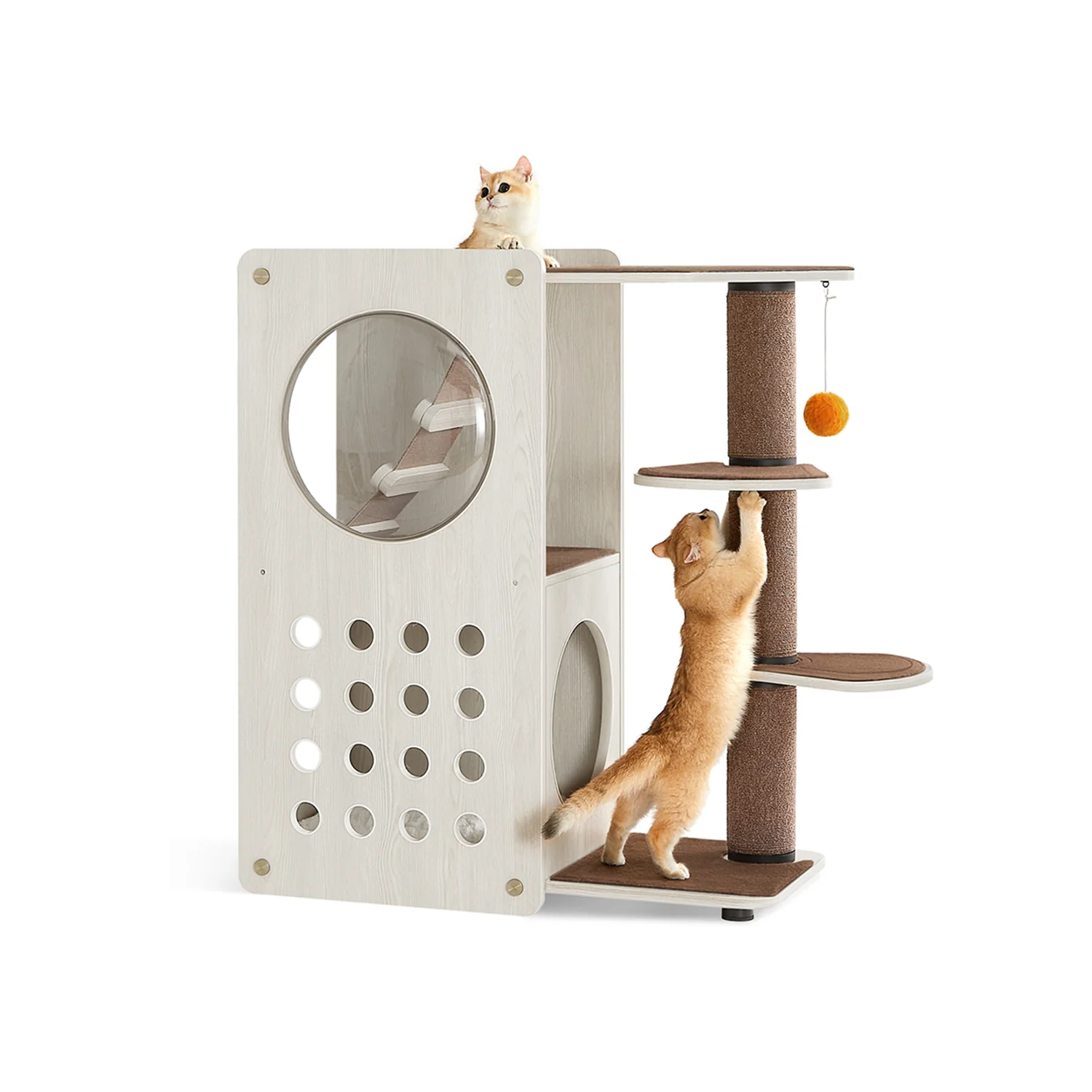 Arbre à chat avec poteau à griffer et échelle