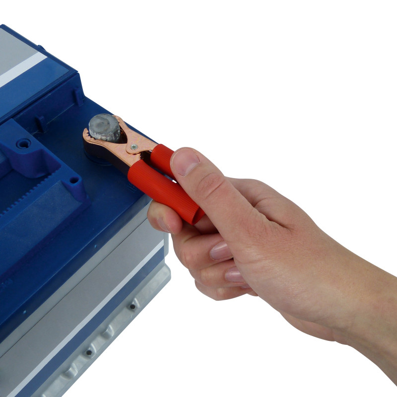 Pince de batterie 50 A 2 pièces CARPOINT