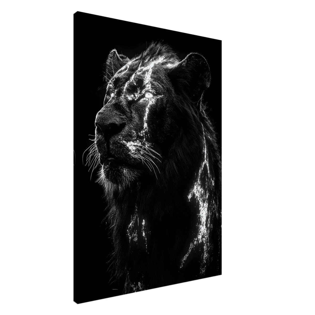 Artfulprints Canvas Lion portrait canvas - 75x100 cm - Zwart / Wit