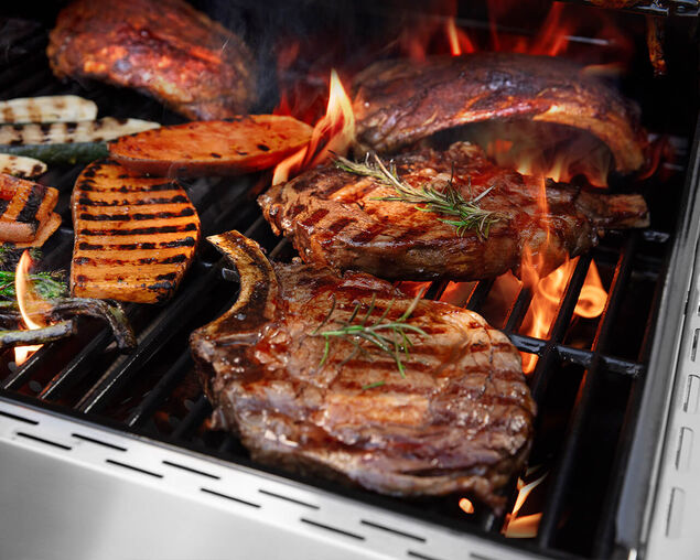 Nexgrill Entertainer 6 Burner BBQ with Sear Zone and Side Burner