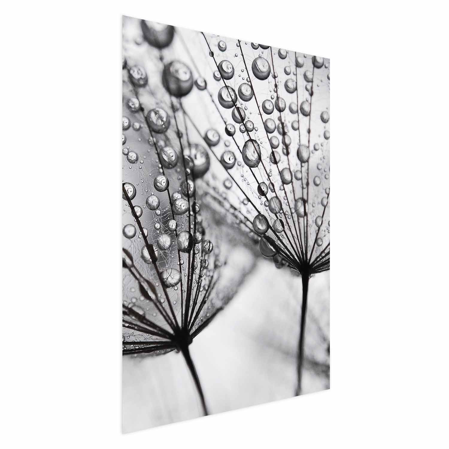 Plakat Rosa 21x30 cm