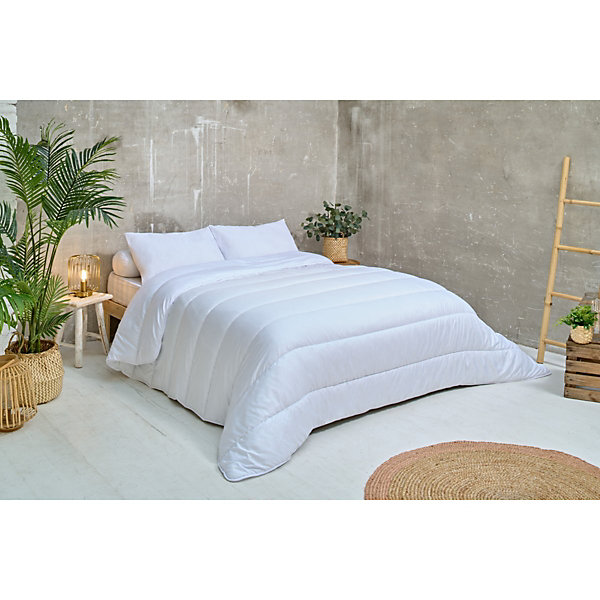 Les Ateliers du Nord - Lot de 2 oreillers moelleux Anti-acariens 60x60cm