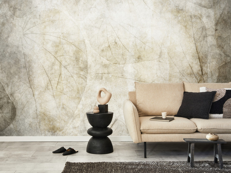 Fototapeta Beżowe pomruki 100x70cm