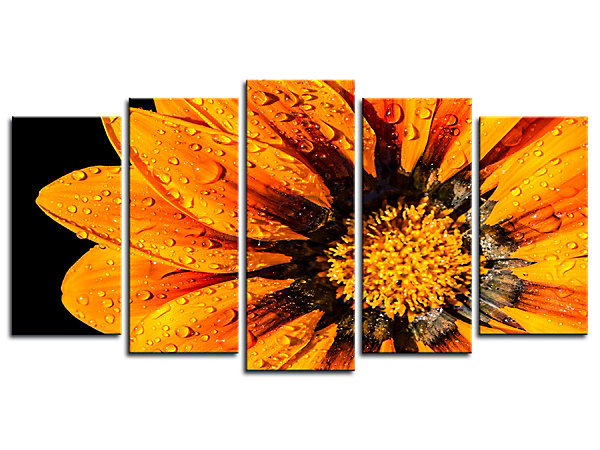 DECLINA, Tableau toile imprimée Zen, Tableau grand format fleurs orange, 220x120 cm
