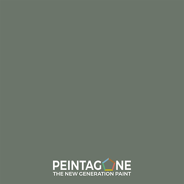 Laque de finition extra résistante pour mur int. &bois - Lak PU Pro Matt, 1 l, Cricket (PE053)