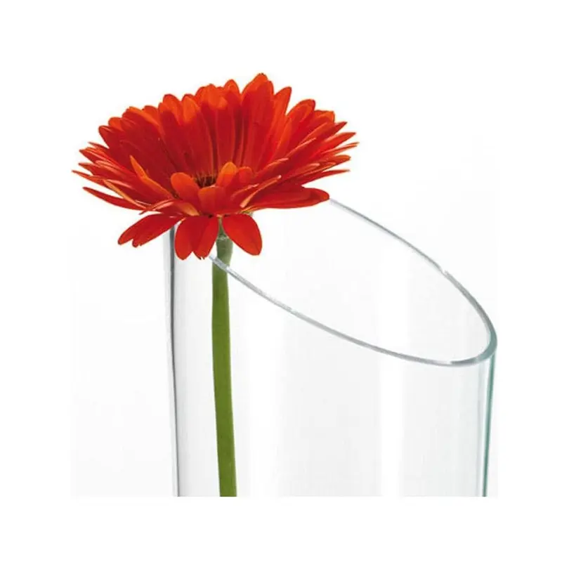 Vase Dynamic
