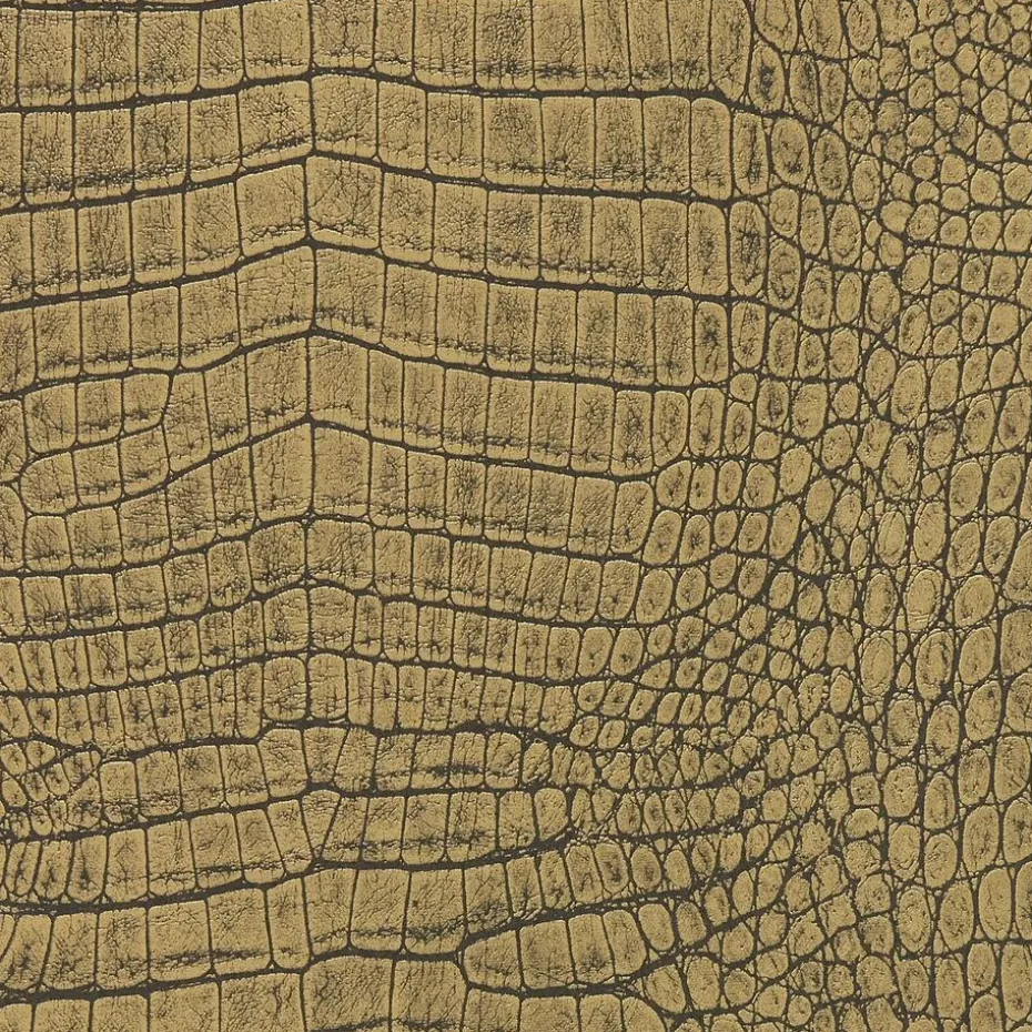 Kwantum Vliesbehang | Behang Ravi  Goud