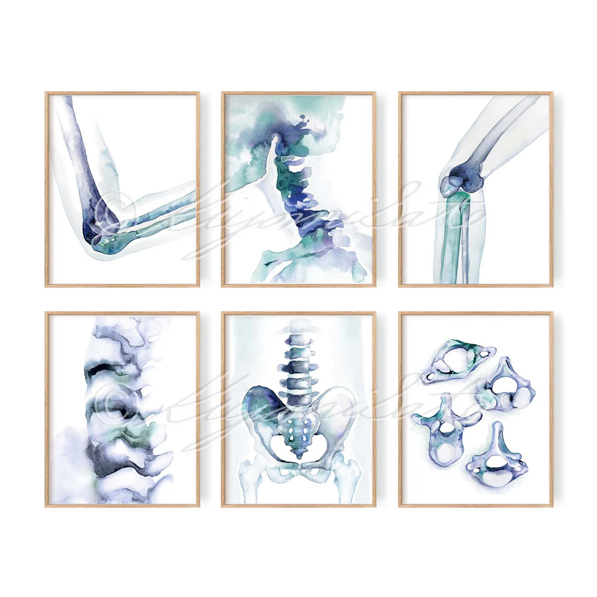 Orthopedics Abstract Blue Art poster set of 6, Chiropractic Office Decor Art, Human Anatomy Watercolor Art, Vertebrae Spine Art