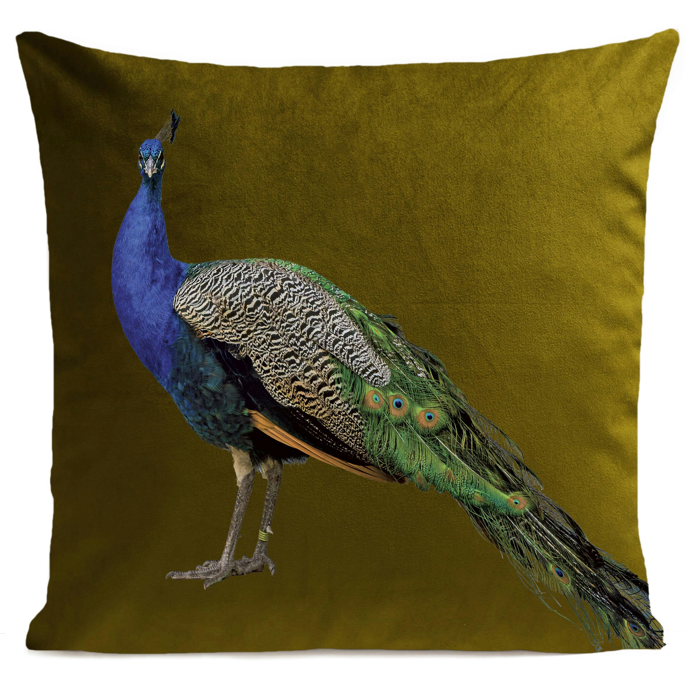 - Coussin campagne paon suédine vert 40x40cm