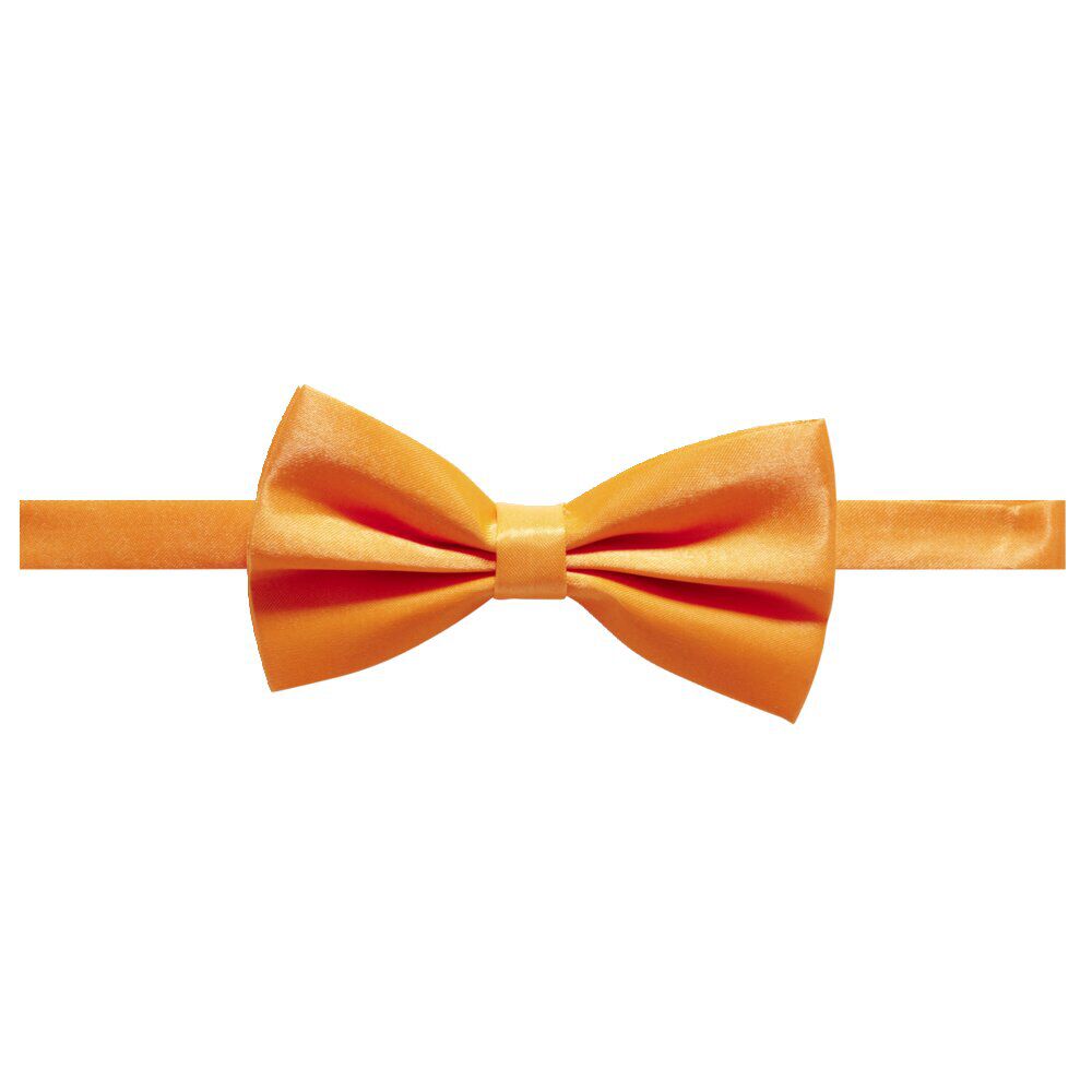 Noeud papillon flashy