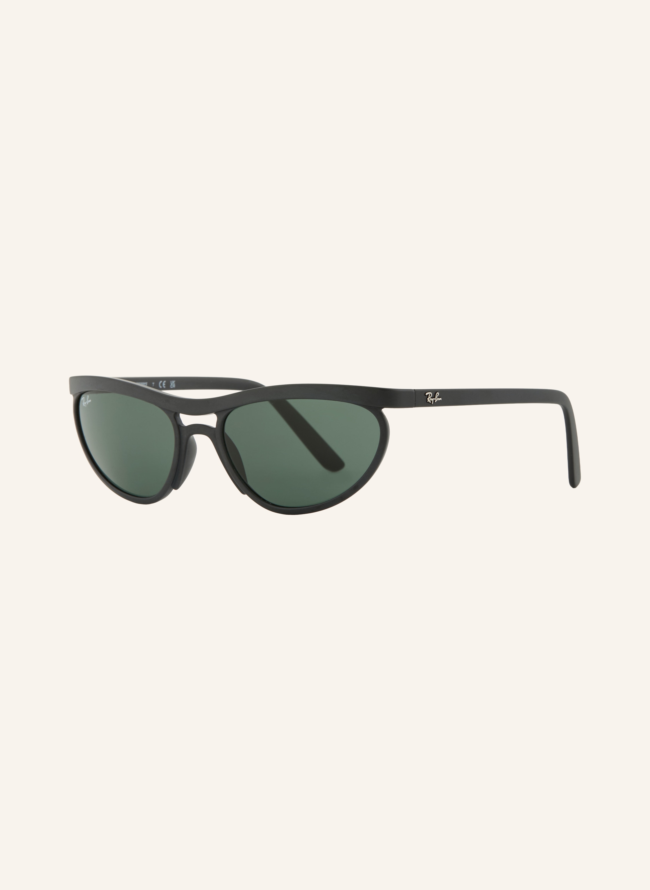 Ray-Ban Sonnenbrille RB4453