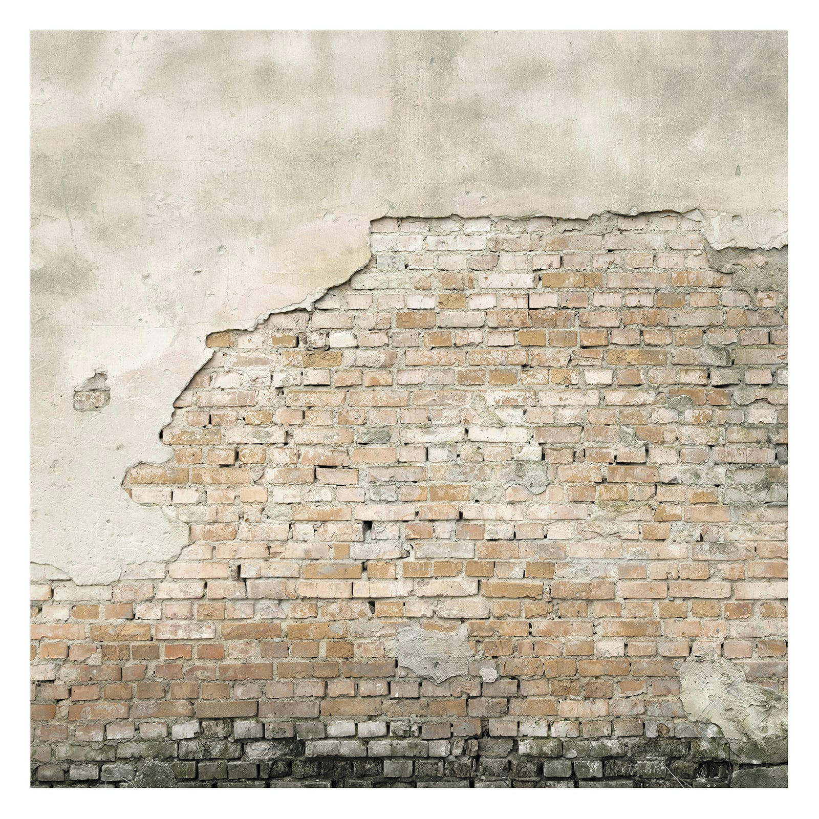 - Papier peint panoramique intissé Dublin pierres gris ocre 300x300cm