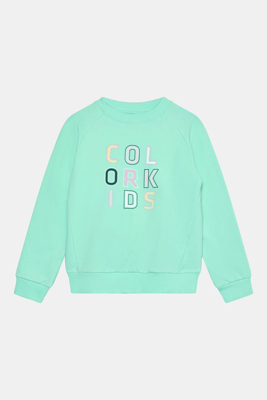 Color Kids Sweat W. Logo Print Trui Junior