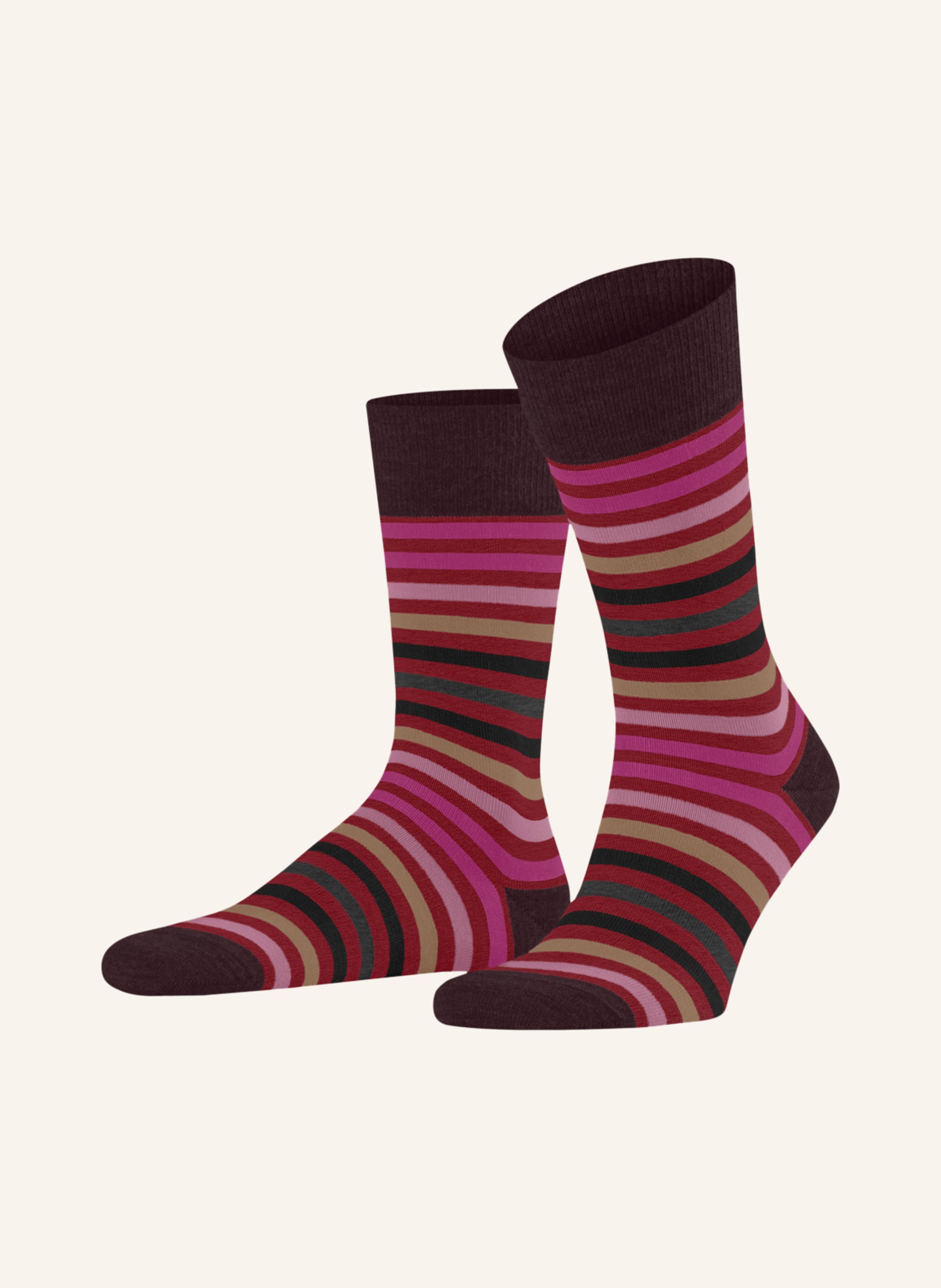 FALKE Strümpfe TINTED STRIPE mit Merinowolle