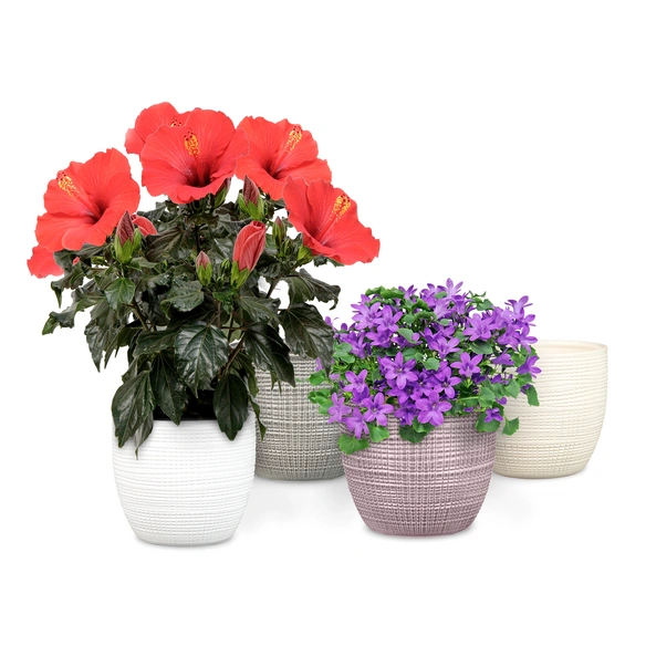 Pflanztopf »Corteza«, Durchmesser: 14 cm, lila, Keramik