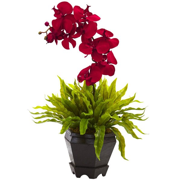 Nearly Natural Faux Birds Nest and Orchid Combo With Planter