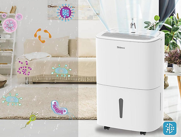 Déshumidificateur Portable Blanc 30L - Purificateur d'Air avec Filtre à Charbon Actif   Minuterie 24h   Drainage Continu