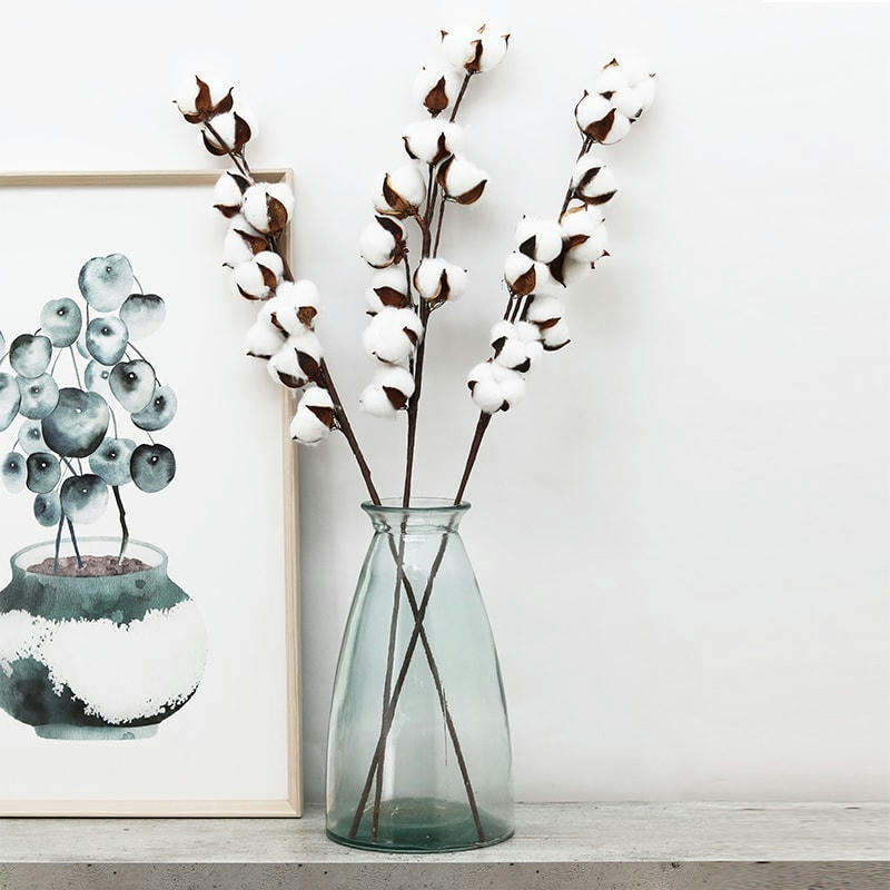 - Tige de coton naturel lot de 3 70cm