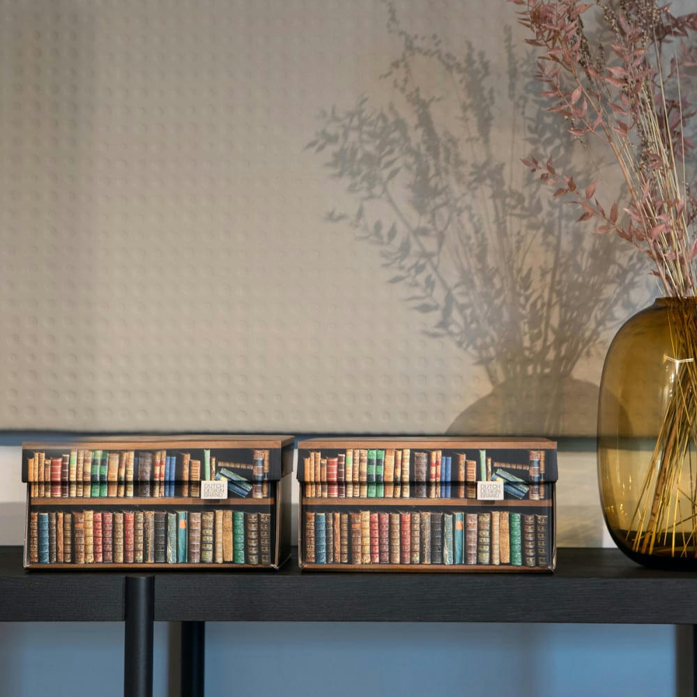 BOOKS - Lot de 2 petites boites de rangement carton multicolore 28x21x14cm