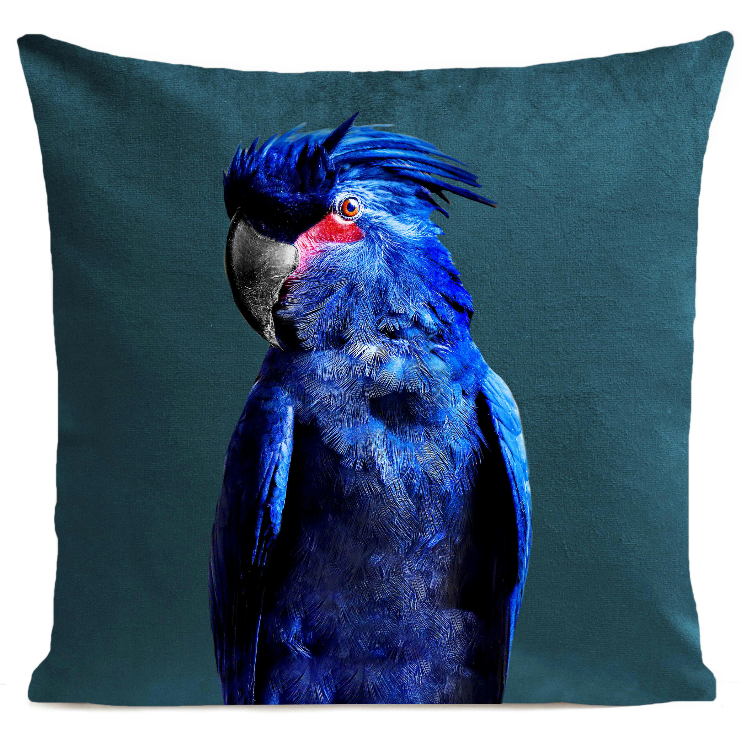 - Coussin tropical oiseau perroquet suédine vert 40x40cm