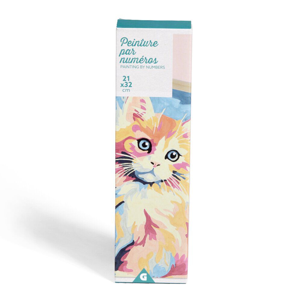Kit créatif 15 pièces peinture par numéros 21x32cm 3 modèles
