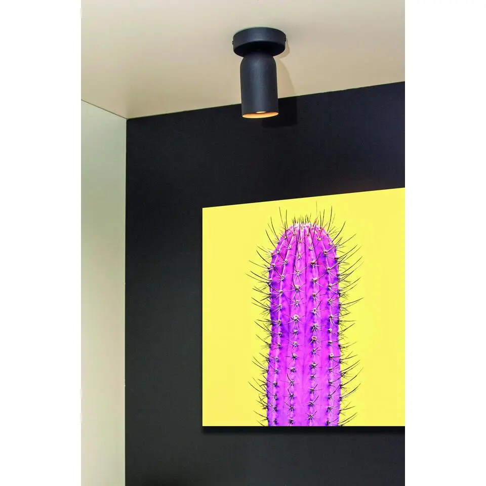 Lucide PUNCH Plafondspot - Zwart