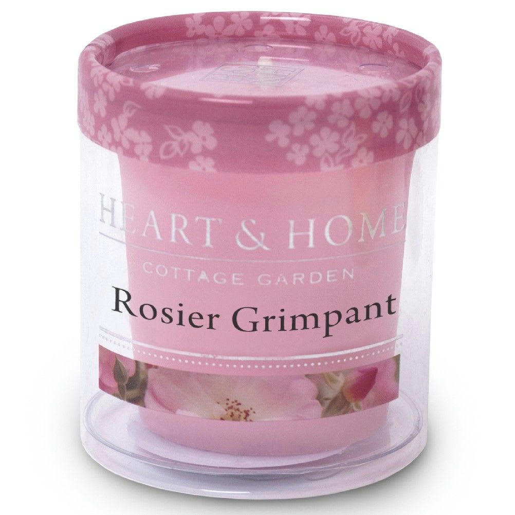 - Petite bougie heart and home rosier grimpant
