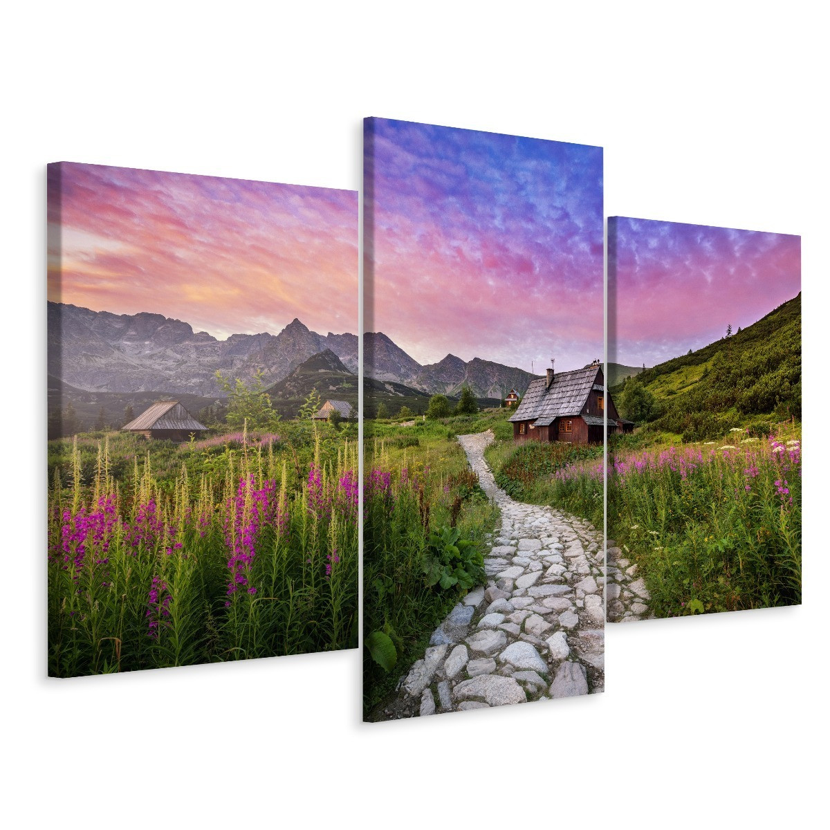 Obraz TRYPTYK Tatry Rośliny Ścieżka Pejzaż 60x40cm
