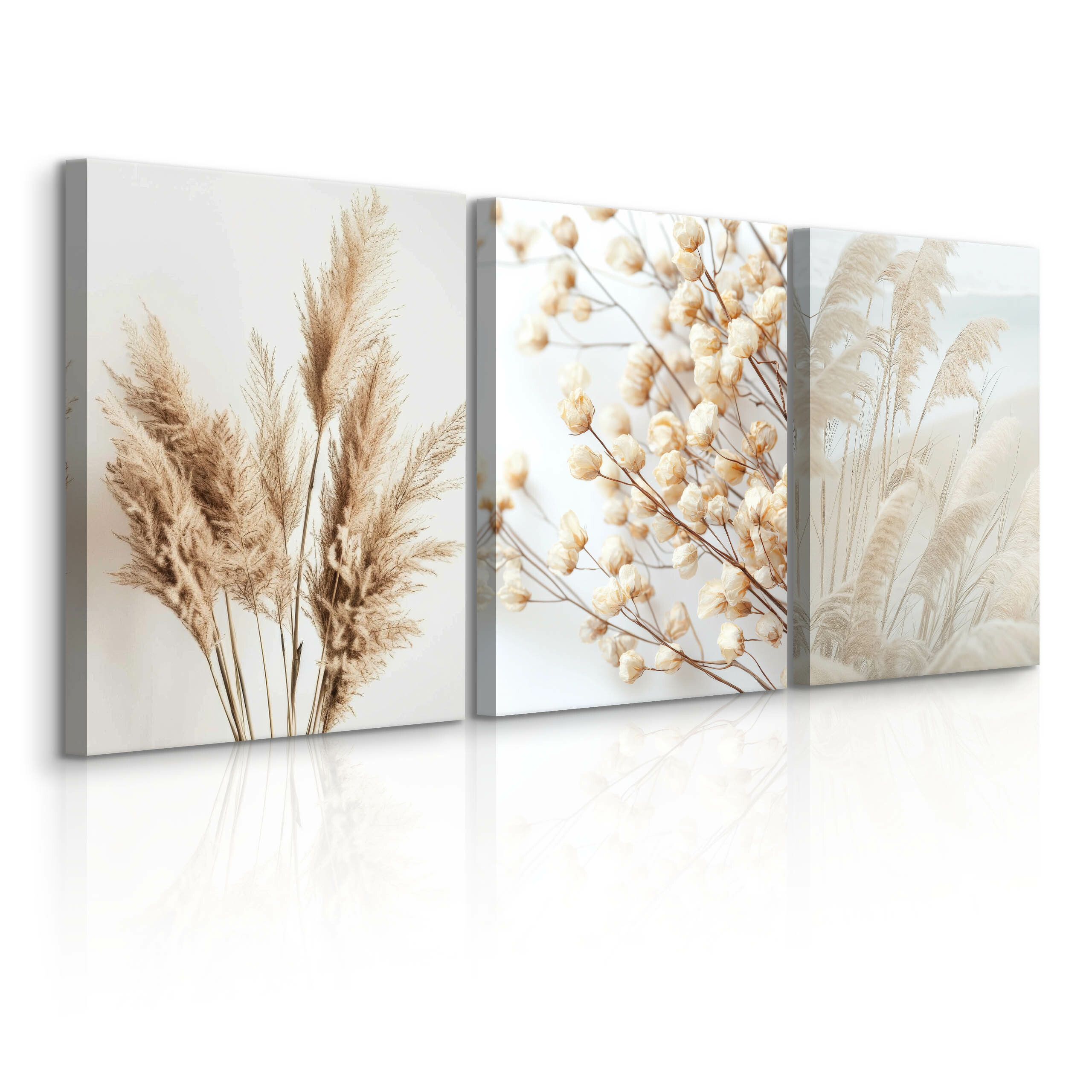 3x Obraz Set Trawa Pampasowa Rośliny W Stylu Boho 30x40cm