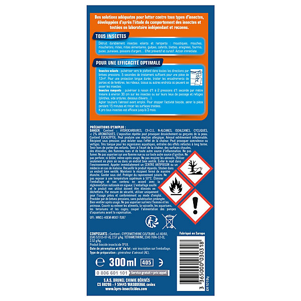 Aérosol tous insectes Kapo expert 300 ml