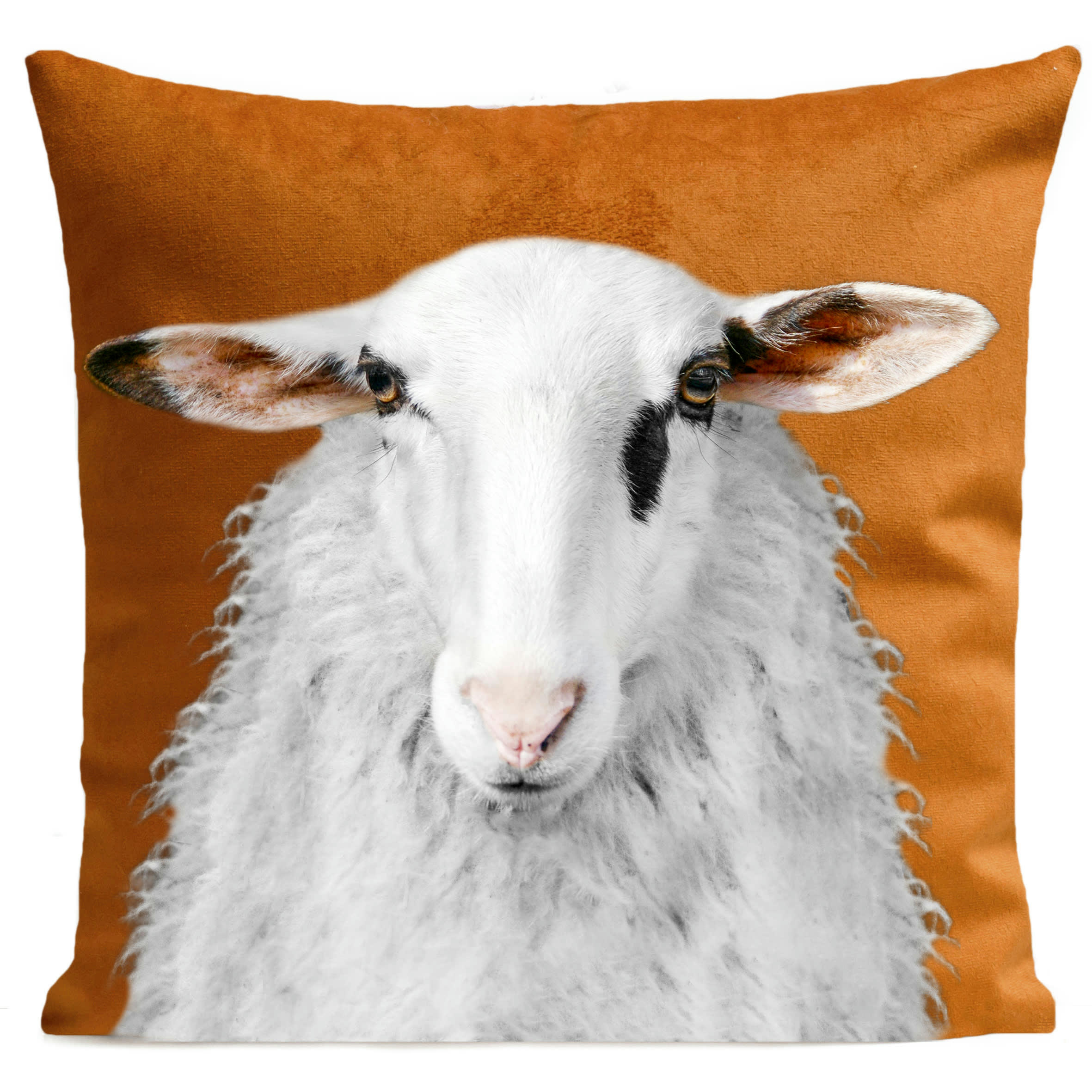 - Coussin campagne mouton suédine orange 40x40cm