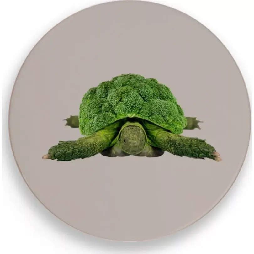 Glasuntersetzer Schildkröte