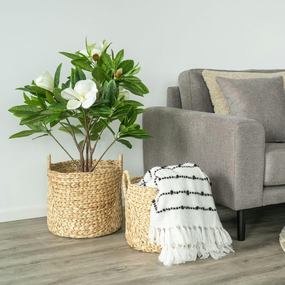 PASSO - Lot de 2 paniers en jacinthe d'eau naturel