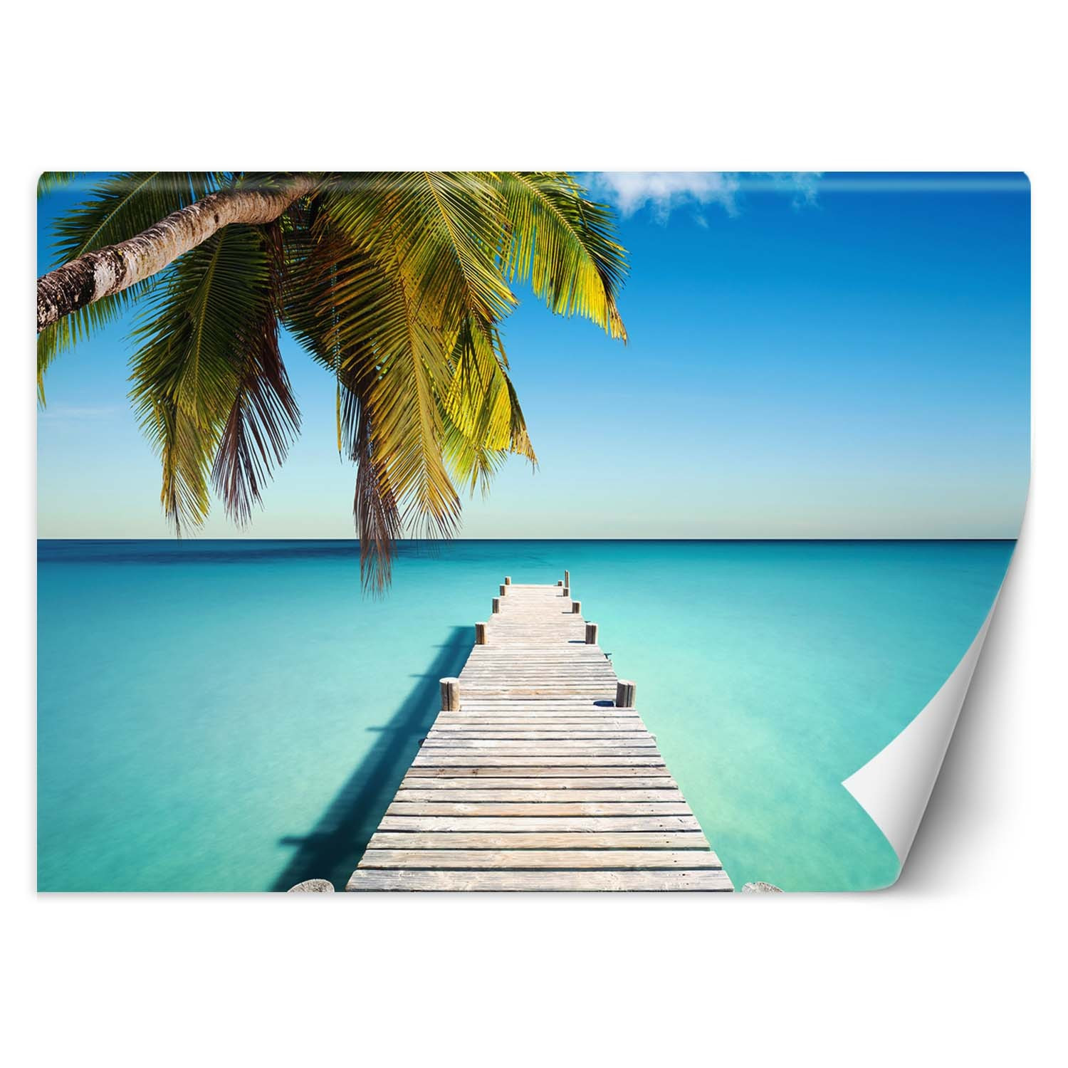 Feeby Fototapeta, Tropikalna plaża palmy pomost natura 150x105