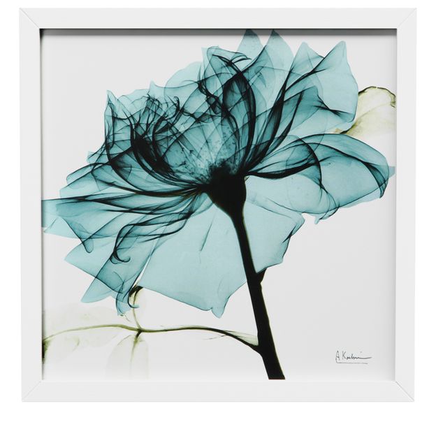 QUADRO 30 CM X 30 CM FLORES RAIO-X I