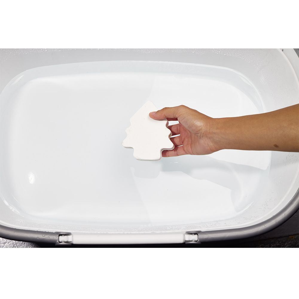 Bombe de bain sapin