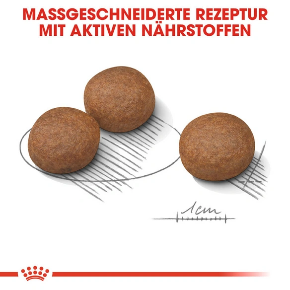Hundetrockenfutter »CCN«, 10 kg