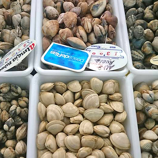 Lot 5 plateaux pour usage alimentaire : 2,2L Sans BPA (26 x 19,1 x 6,6 cm) - Cuisines, restaurants, cantines, catering
