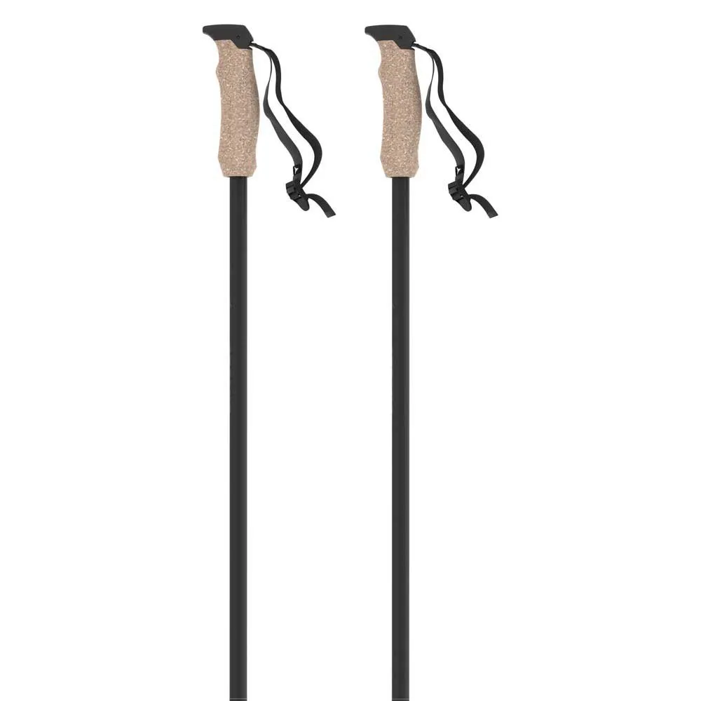 Atomic AMT Carbon poles