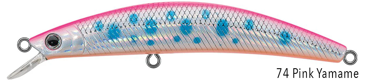 DR.MINNOW JERKBAITS