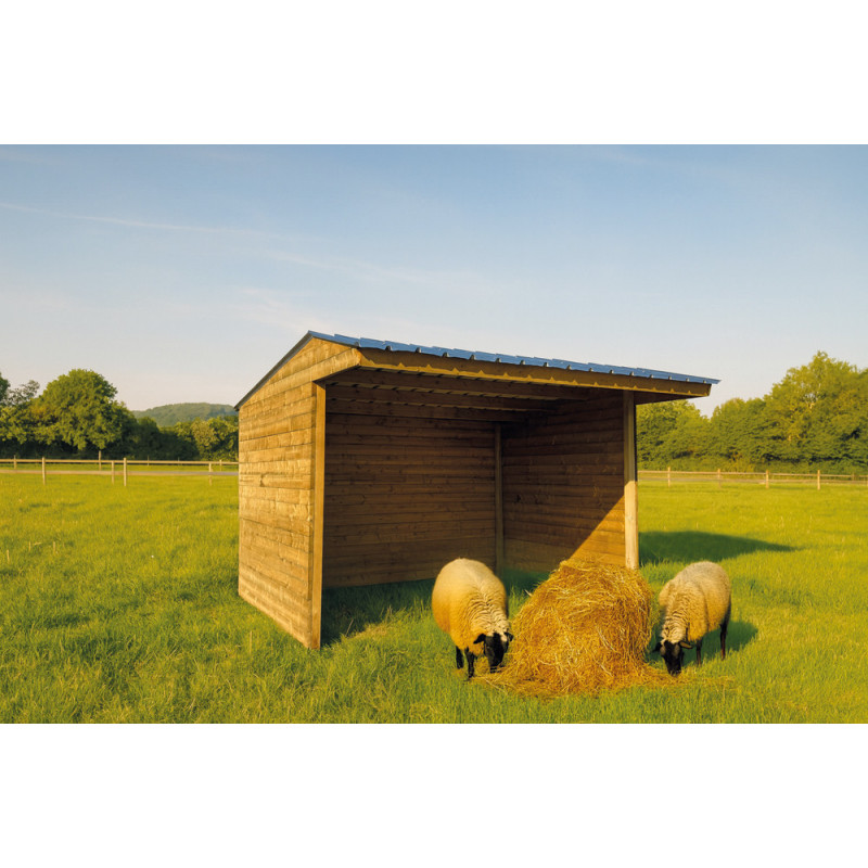 Abri pour cheval 3 x 2,92 x 2,77 m SOLID