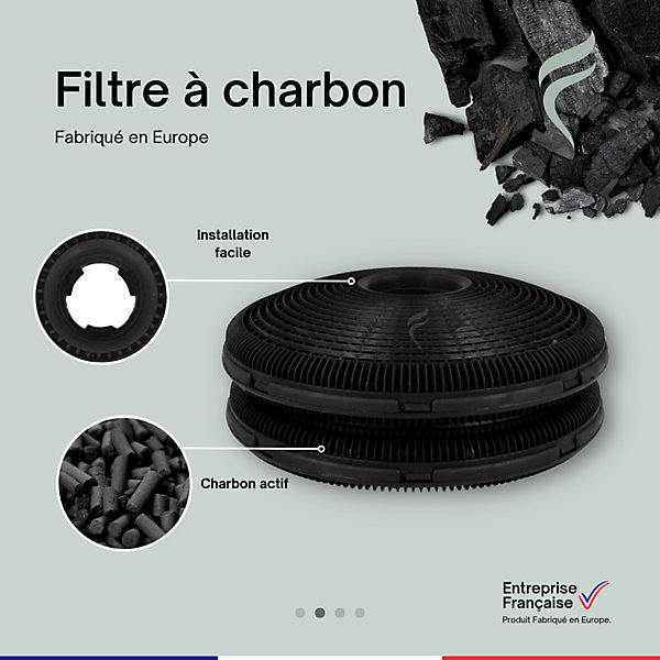 Lot de 2 Filtres à Charbon pour Hotte Amica - FWK 162, 1161106 - 192mm