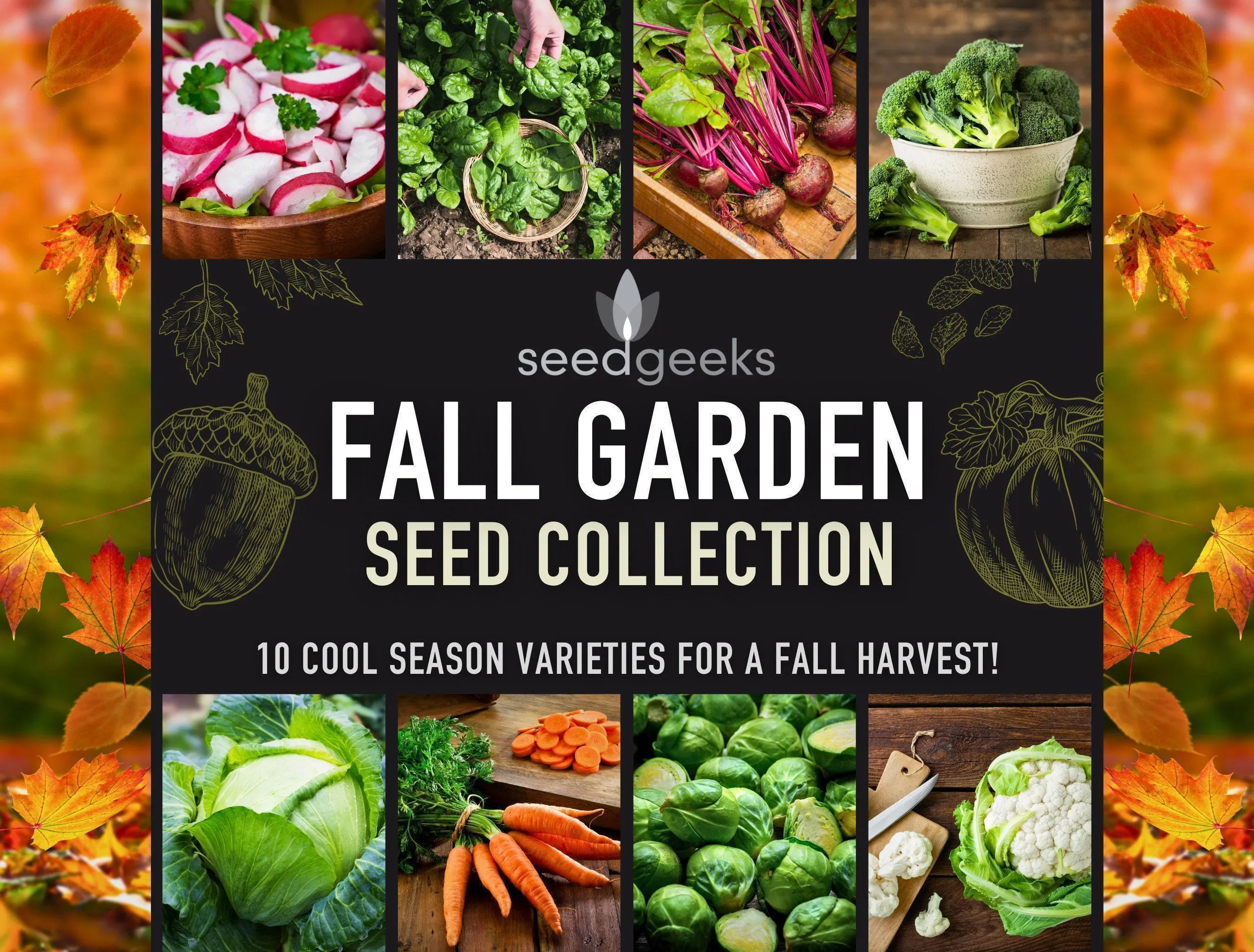 Heirloom Fall Garden Seed Collection – 10 Non-GMO Varieties