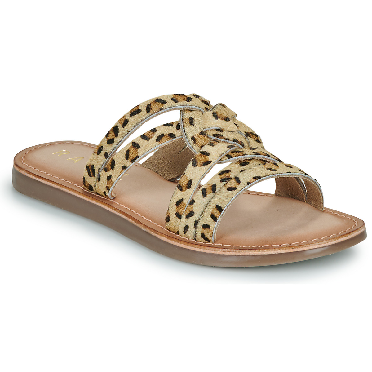 Ravel - HARTS - Leopard