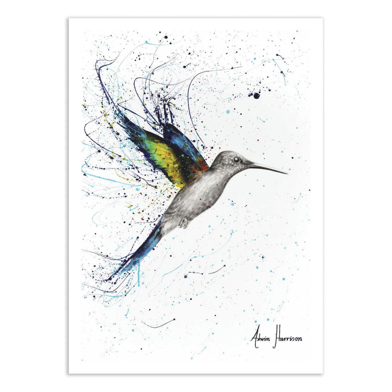 ASHVIN HARRISON - HAPPY HUMMINGBIRD - ASHVIN HARRISON - Affiche d'art 30 x 40 cm