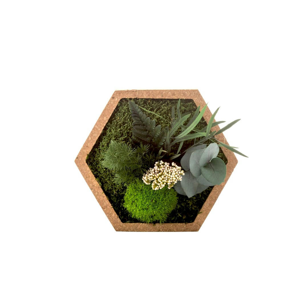 - Tableau végétal nature hexagonal S 16 x 16 cm