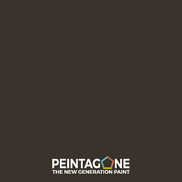 Laque multicouche ultralessivable pour bois ext. &int. - Lak Pro ST Satin, 1 l, Jazz (PE018)