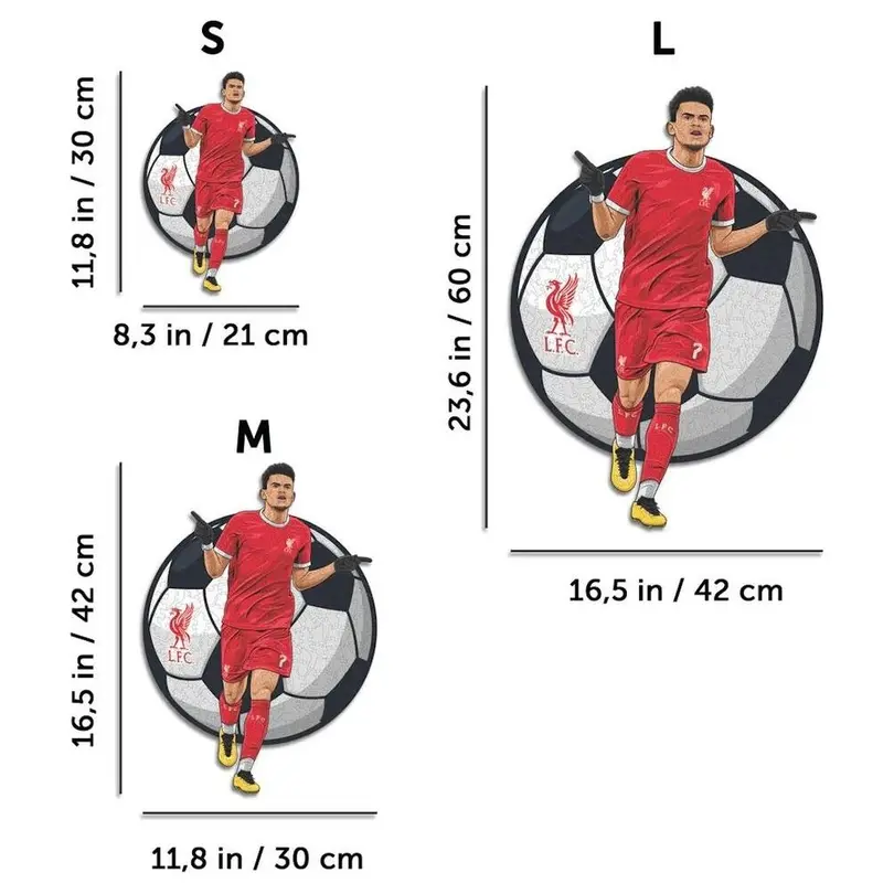 Puzzle Liverpool FC
