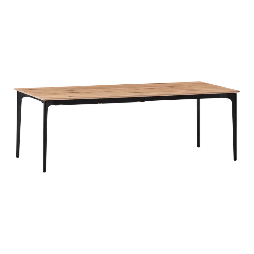 Esstisch Elegance