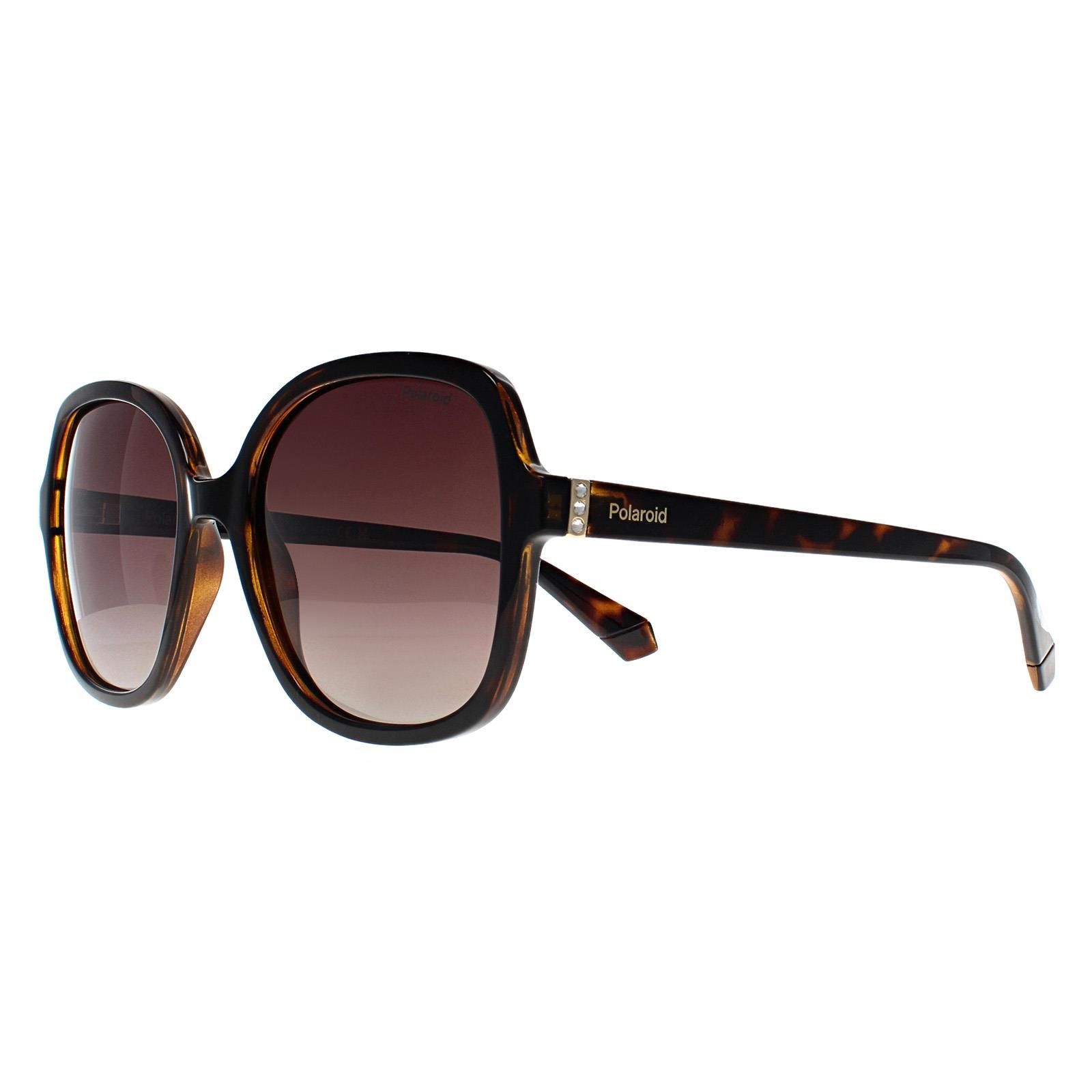 Polaroid Square Havana Brown Gradient Polarized PLD 4177/S/X